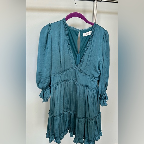 The Impeccable Pig Ruffled Dress! - Picture 1 of 7